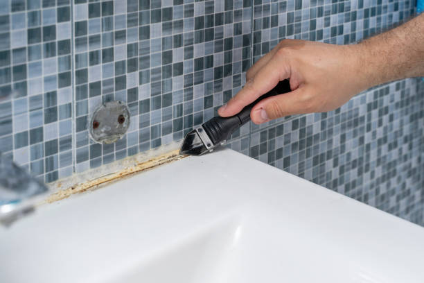 Professional Mold Remediation in Alpine, CA